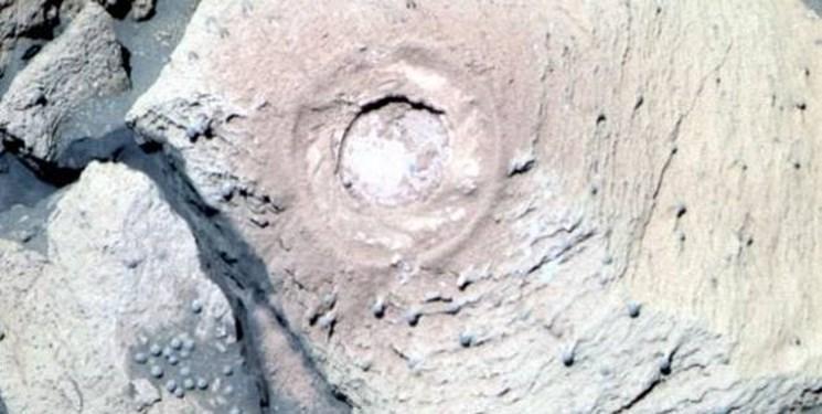 نشانه های حیات در مریخ، تصاویر ناسا از قارچ های مریخی