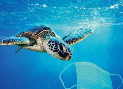 رد زباله های کرونا در اقیانوس ها