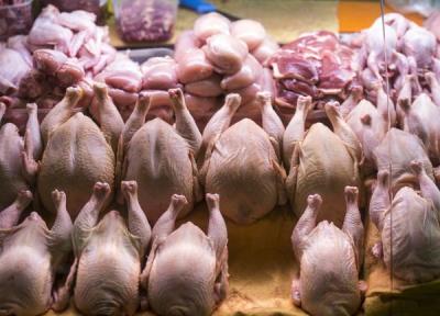 کاهش قیمت مرغ، تخم مرغ و گوشت در آذرماه