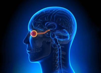 بازیابی بینایی با ایمپلنت های چشمی و مغزی